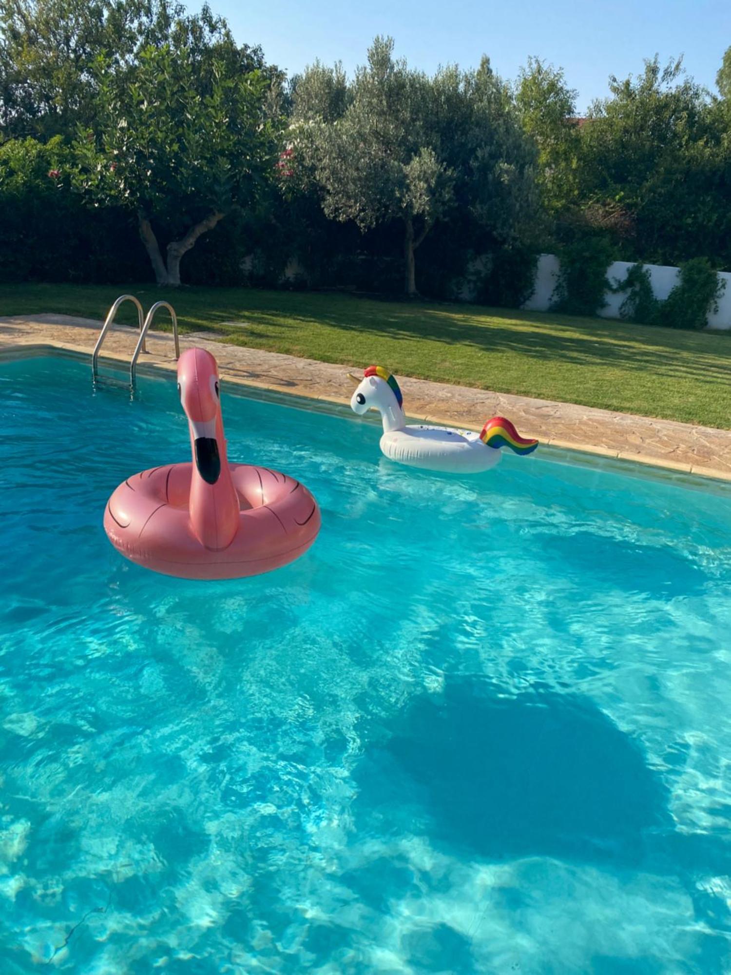 Relaxing Villa With Swimming Pool And Garden Agios Georgios  Exterior photo