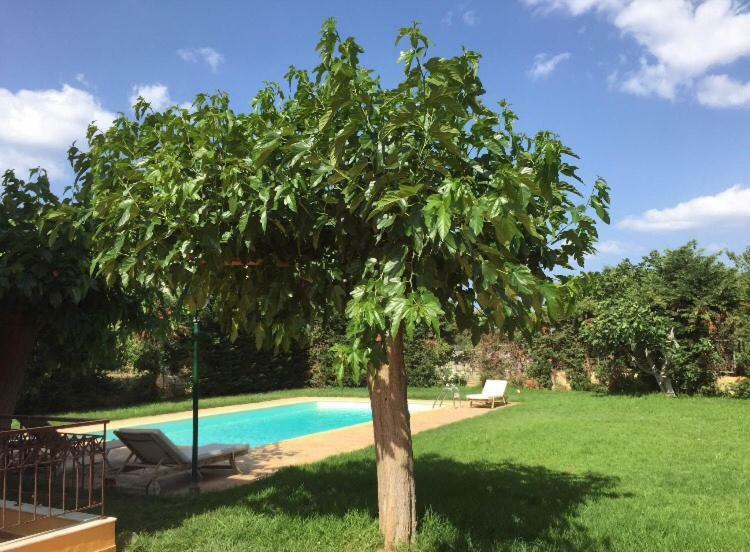 Relaxing Villa With Swimming Pool And Garden Agios Georgios  Exterior photo