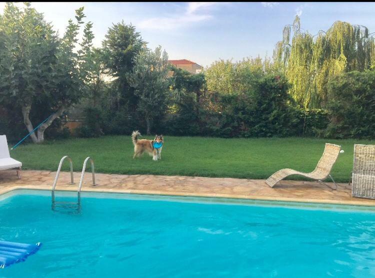 Relaxing Villa With Swimming Pool And Garden Agios Georgios  Exterior photo